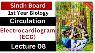 electrocardiogram  use of ECG  circulation  class 11 biology Sindh text book board new book [upl. by Collier918]