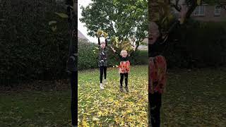 Slow motion leaf throwing [upl. by Airegin710]