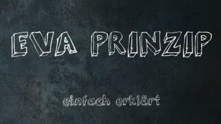 EVA Prinzip einfach erklärt [upl. by Emor]