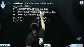 A sectional view of Mammary gland shows A Nipple Areola B Mammary lobe alveolu [upl. by Ainsworth]