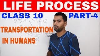 LIFE PROCESS PART 4  CLASS 10  CHAPTER 6  CBSE BIOLOGY [upl. by Yalonda]