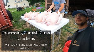 Processing Cornish Cross Chickens  Why We Wont Be Raising Them Again [upl. by Jemena]