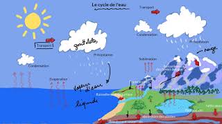 Le cycle de leau [upl. by Oicelem]