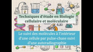 Fiches techniques Pulse chase et autoradiographie [upl. by Eilak]