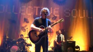 Collective Soul Forgiveness Live [upl. by Gonsalve]