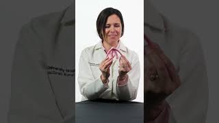 Womens Sexual Health Clitoris Overview [upl. by Holihs580]