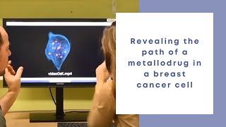 Revealing the path of a metallodrug in a breast cancer cell [upl. by Akcebar]