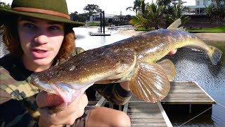 Fishing For RIVER MONSTERS Overnight Jetty Challenge SharkFlatheadTrevally [upl. by Sadira652]