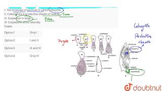 Read the following statements Choose the correct statements regarding monocot embryo [upl. by Atilrahc181]