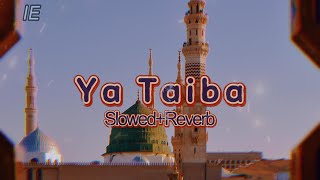 Ya Taiba SlowedReverb Stress Releif  Ayisha Abdul Basit [upl. by Daren]