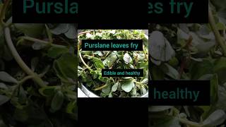 purslane leaves fry purslane trendingshorts trendingfoodvideo healthyfood healthycooking [upl. by Dorise]