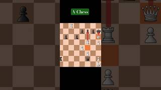 Checkmate 2 Moves [upl. by Aneej803]