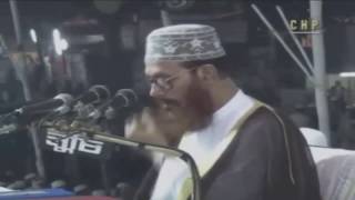 Bangla Tafseer Mahfil  Delwar Hossain Sayeedi at Chittagong 2004 Day 2 Full [upl. by Hameean718]