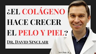 Colágeno Beneficios Para el Pelo y Piel  Dr David Sinclair [upl. by Isiahi745]