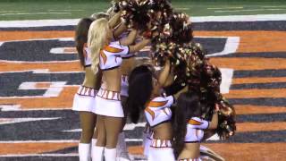 Cincinnati Bengals cheerleaders 2013 [upl. by Dranal]