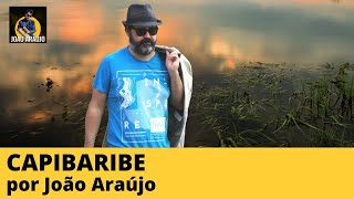 CAPIBARIBE  por João Araújo poesia poema verso literatura [upl. by Bolton919]