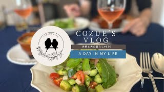 夫婦と犬の暮らし〜cozues vlog vol036 【簡単レシピ】鶏肉ときのこのグラタン  自家製ベシャメルソース [upl. by Wendalyn]