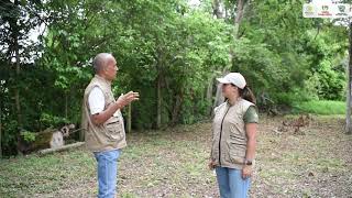 ¿Qué es un arboreto [upl. by Lorita]