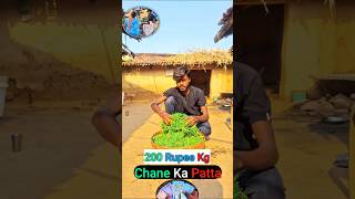 ₹200 Kg Chane Ka Patta 🌿 Ep5 newminivlog vlog minivlog shorts [upl. by Mosira]