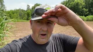 Planting Northwoods Whitetails Inc Brassica amp Clover Food Plot Seed Blends [upl. by Nolyd]