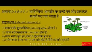 Morphology of Marchantia in hindi।।Bsc 1st year।।मार्केन्शिया के बाह्य लक्षण आवास व वर्गीकरण [upl. by Yecal]