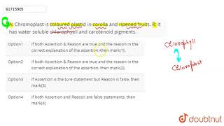 A Chromoplast is coloured plastid in corolla and ripened fruitsltBRg [upl. by Ariela]