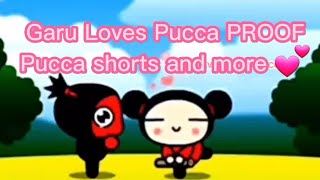 Garu Loves Pucca PShorts PROOF [upl. by Kenleigh]