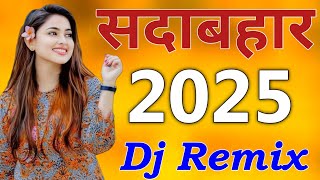 New Best Old Dj Remix 💖 New Best Old Dj Remix  JBL Dj Remix Old Hindi 2024 Mix 💞 HINDI REMIX 2024 [upl. by Johny]