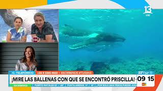 Pri cumplió su sueño avistó ballenas en Chañaral de Aceituno  Tu Día  Canal 13 [upl. by Jaf]