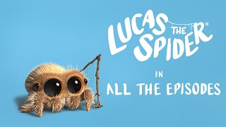 Lucas the Spider LIVE 🔴 Every Episode Streamed 247 [upl. by Llednol]