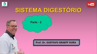 Anatomia do sistema digestório parte 2 [upl. by Elkcim]