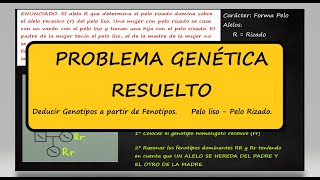 Problema de Genética Deducir Genotipos a partir de Fenotipos en Genealogía Pelo Liso Pelo Rizado [upl. by Pfosi991]