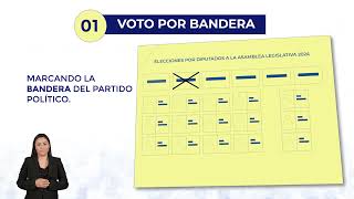 Formas de Votar Elección Diputados 2024 [upl. by Liba]