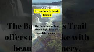 A unique tour that takes you to one of the best experiences in the Iguaçu National Park [upl. by Babbette]