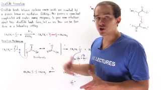 Disulfide Bond Formation [upl. by Acsecnarf]