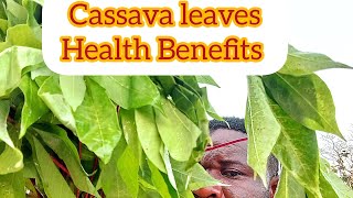 Cassava leaves Health Benefits [upl. by Leona]