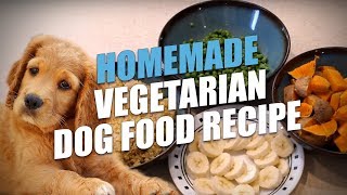 Homemade Vegetarian Dog Food Recipe Simple to Make [upl. by Yule]