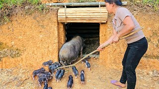 FULL VIDEO 35 days Digging tunnels to keep pigs warm amp making pig troughs and pigeon coops [upl. by Neel]