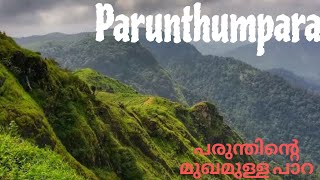 Parunthumpara Hill view point  Best hill station in Idukki  Peerumed  Kuttikanam [upl. by Yantruoc]