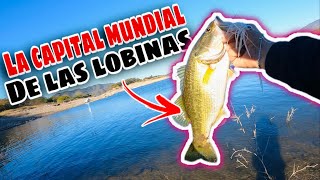 Pesca de LOBINA en BACURATO SINALOA  Todo pescador SUEÑA con conocer este LAGO [upl. by Shauna]