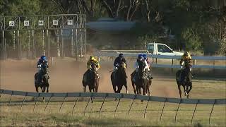 Tomingley 27 04 2024 Race 6 [upl. by Trey]