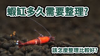 【攻略水晶蝦EP2】 蝦缸總是有死蝦 該怎麼整理比較好 達人親自分享翻缸流程 一鏡到底絕不藏私 人人都能輕鬆成為養蝦高手 水晶蝦缸翻缸 翻缸教學 [upl. by Aciemaj594]