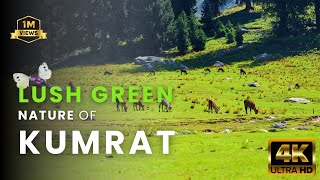 KUMRAT VALLEY  THE MOST BEAUTIFUL PLACE OF PAKISTAN 4K ULTRA HD [upl. by Janel]