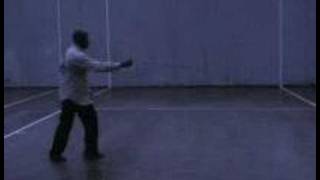 Xing Yi Quan linking form [upl. by Valencia]