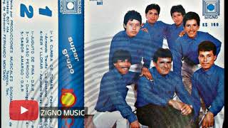 Grupo Los Primos de Panuco Ver LP Completo [upl. by Mccowyn]