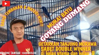 GETARKAN TANJUNG MORAWA MURAI BATU GOYANG DUMANG SABET DOUBLE WINNER [upl. by Maje164]