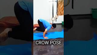 Master CROW POSE Calisthenics Moves for Beginners [upl. by Vern]