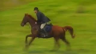 Horses Hounds and Hares Hunting in New Zealand [upl. by Alakam584]