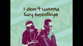 Allan Toniks ft Jose Chameleone GoodBye Lyrics [upl. by Ardnasirk]