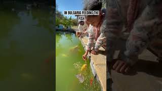 Invited into a Bulgarian Home and Fed Fish ytshorts bulgaria balkan [upl. by Simpkins]